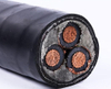 China Manufactuer 0.6/1KV Nyy N2xy 3 Core 16mm2 25mm2 35mm2 50mm2 70mm2 95mm2 PVC CU SWA STA Armored Power Cable