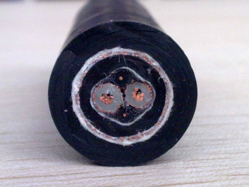 600/1000V Low Voltage 2 Core 1.5mm2 2.0mm 2.5mm2 4mm2 6sq mm Copper XLPE Insulated electrical PVC Sheathed Outdoor Power Cable